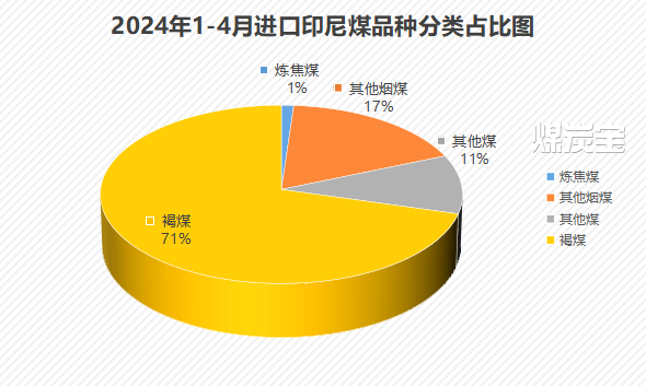 2024年進口印尼煤品種分類占比圖